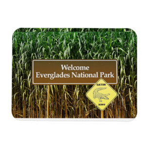 Magnet Flexible Bienvenue Everglades Parc National, Gator Crossing
