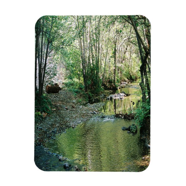 Magnet Flexible Big Creek. (Vertical)