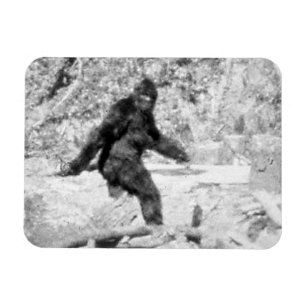 Magnet Flexible Bigfoot