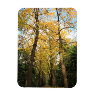 Magnet Flexible Bilobiers de Ginkgo