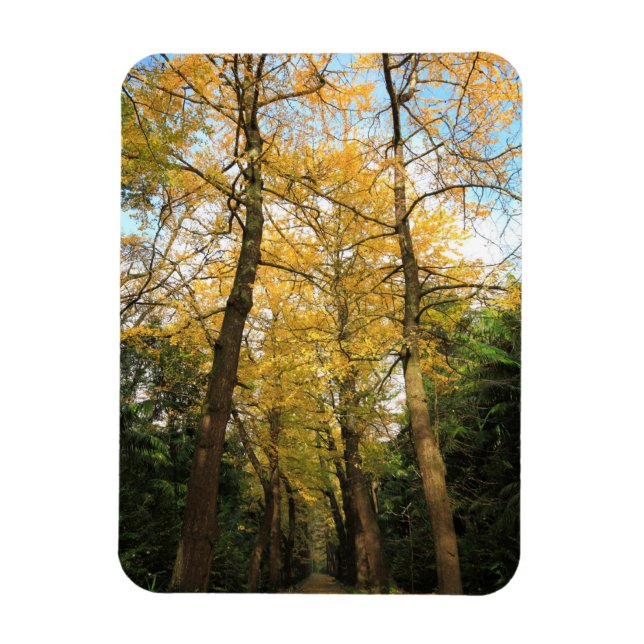 Magnet Flexible Bilobiers de Ginkgo (Vertical)