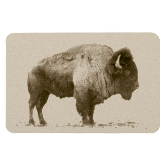 Magnet Flexible Bison des plaines (Horizontal)