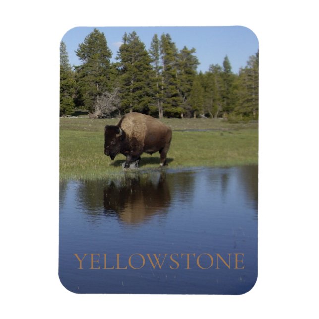 Magnet Flexible Bison du parc national de Yellowstone (Vertical)