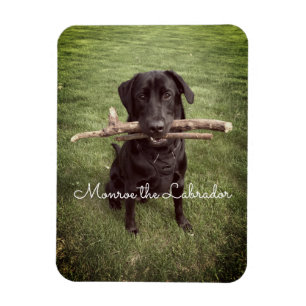 Magnet Flexible Black Lab avec deux bâtons Photo et nom du chien