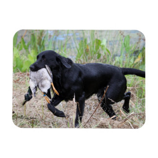 Magnet Flexible Black Labrador Retriever avec aimant à canard
