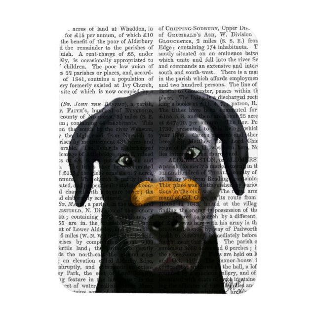 Magnet Flexible Black Labrador With Bone on Nose (Vertical)