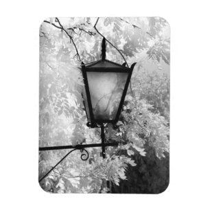 Magnet Flexible Black & White view of light fixture