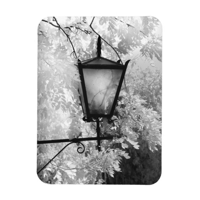 Magnet Flexible Black & White view of light fixture (Vertical)