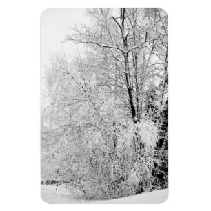 Magnet Flexible Blancs d'hiver
