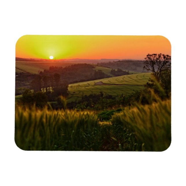 Magnet Flexible Blé agricole Sunset (Horizontal)