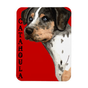 Magnet Flexible Bloc de couleur Catahoula