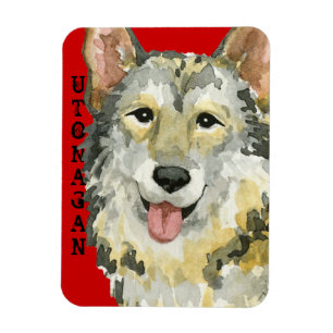 Magnet Flexible Bloc de couleur d'Utonagan