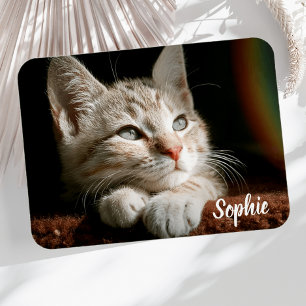 Magnet Flexible Bloc photo pour animaux