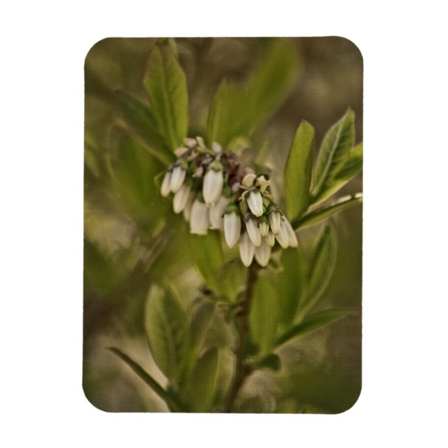 Magnet Flexible Blueberry 585 (Vertical)