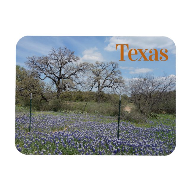 Magnet Flexible Bluebonnets à fleurs du Texas State (Horizontal)