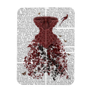 Magnet Flexible Bois Corset 2