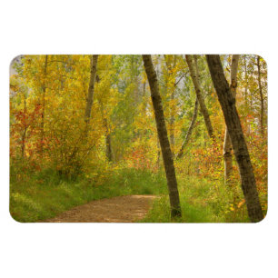 Magnet Flexible Bois d'automne