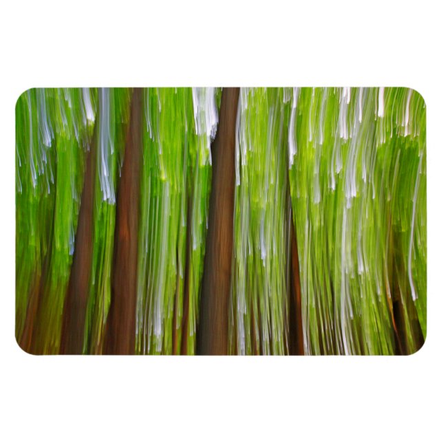 Magnet Flexible Bois d'érable abstrait (Horizontal)