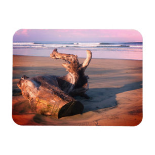 Magnet Flexible Bois flotté Costa Rica Photo de plage