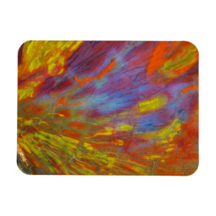 Magnet Flexible Bois pétrifié coloré en gros plan