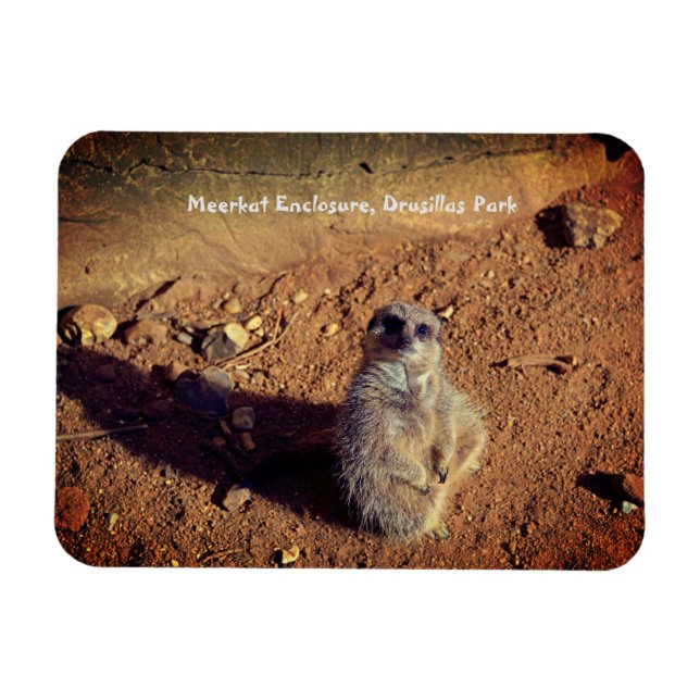 Magnet Flexible Boîtier Meerkat, Parc Drusillas (Horizontal)