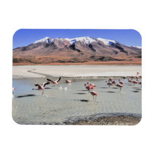 Magnet Flexible Bolivie photographie paysage