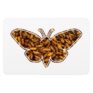 Magnet Flexible Bombyx Mori Silk Moth Cycle de vie Silhouette