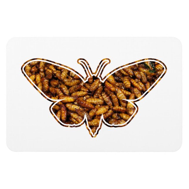 Magnet Flexible Bombyx Mori Silk Moth Cycle de vie Silhouette (Horizontal)
