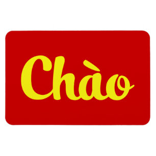 Magnet Flexible Bonjour / Hello ~ Vietnam / Vietnamien / Tiếng Việ