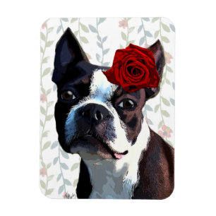 Magnet Flexible Boston Terrier avec s'est levé sur la tête 2