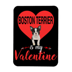 Magnet Flexible Boston Terrier est mon cadeau Valentine