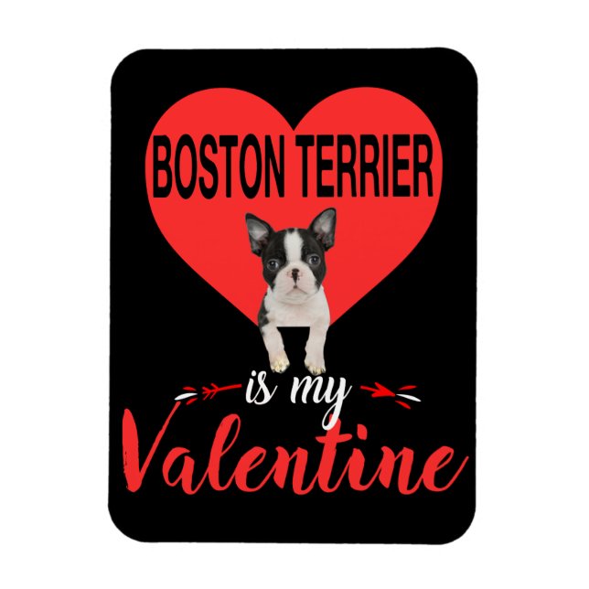 Magnet Flexible Boston Terrier est mon cadeau Valentine (Vertical)