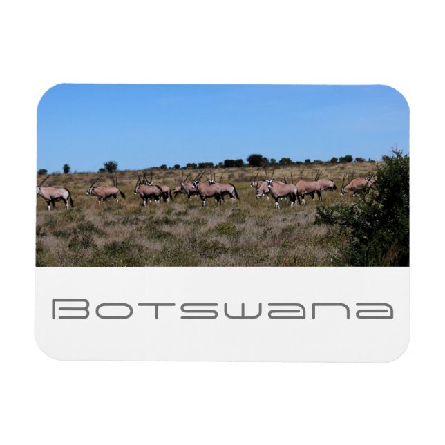 Magnet Flexible Botswana Oryx Animaux Savannah Voyage (Horizontal)