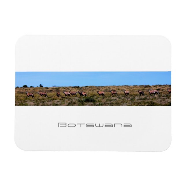 Magnet Flexible Botswana Oryx Animaux Savannah Voyage (Horizontal)