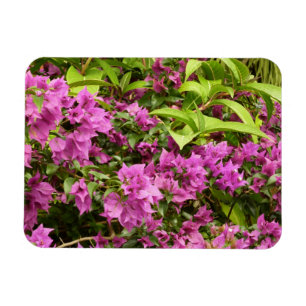 Magnet Flexible Bougainvillées tropicales violettes