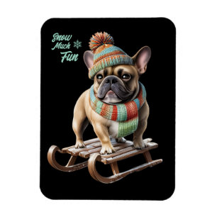 Magnet Flexible Bouledogue français faisant une descente en traîne