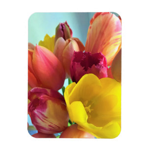 Magnet Flexible Bouquet de tulipe coloré