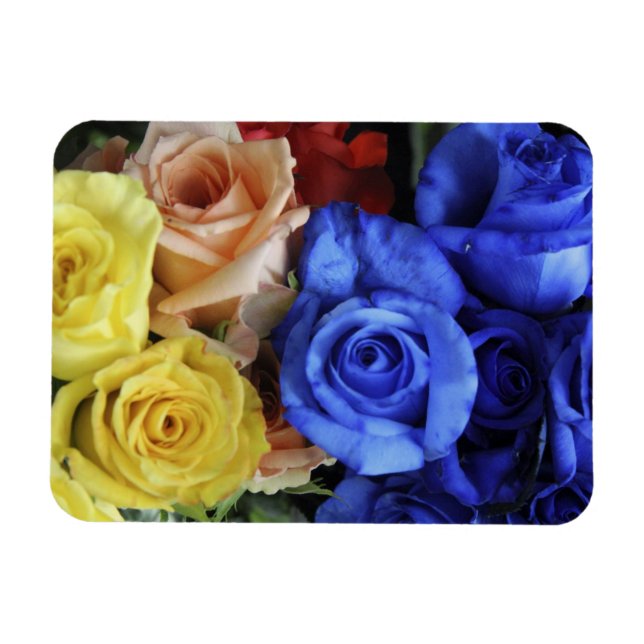 Magnet Flexible Bouquets de roses fraîches assortis (Horizontal)