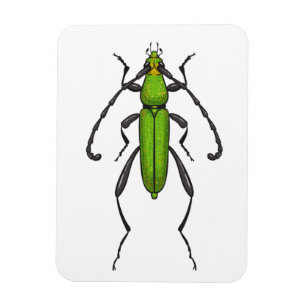 Magnet Flexible Bousier vert