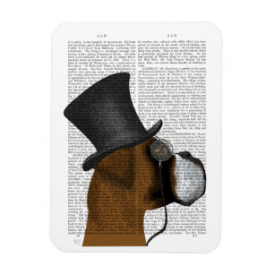 Magnet Flexible Boxe, livre officielle et Casquette