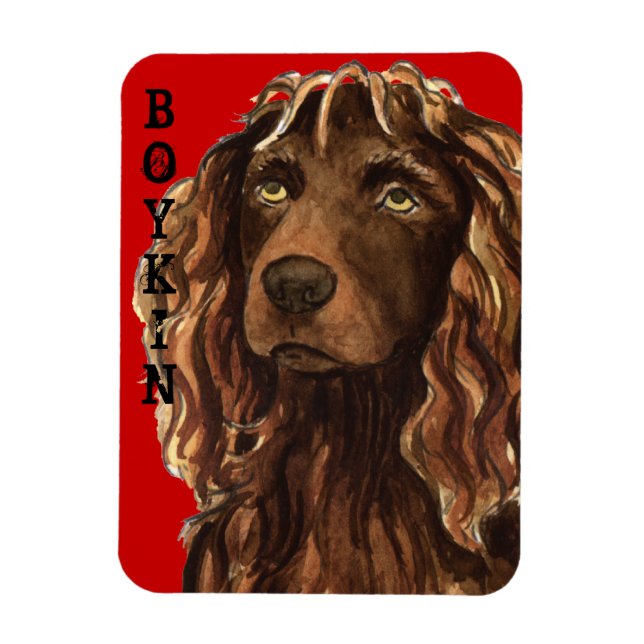 Magnet Flexible Boykin Spaniel Color Block (Vertical)