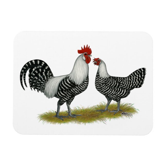 Magnet Flexible Brakel Chickens (Horizontal)