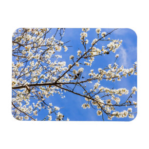 Magnet Flexible branche de floraison
