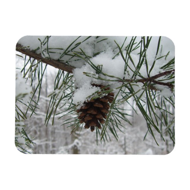 Magnet Flexible Branche des pins neigeux Photographie de la nature (Horizontal)