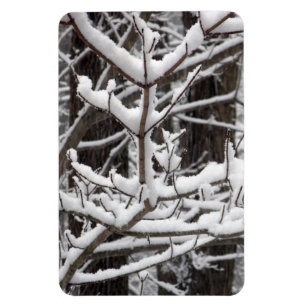 Magnet Flexible Branches couvertes de neige