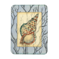 Branches des coquillages et des arbres