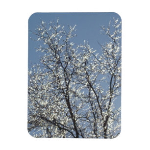 Magnet Flexible Branches Icy dans le ciel bleu d'hiver