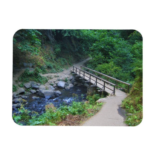 Magnet Flexible Bridge at Latourell Falls, Oregon (Horizontal)