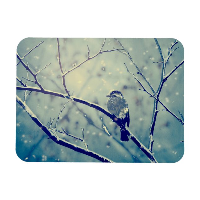 Magnet Flexible Bruant sur la branche enneigée (Horizontal)