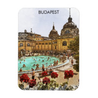 Budapest Hongrie Széchenyi Thermes